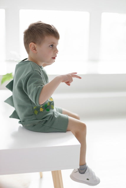 Short sleeve T-shirt outfit, Dinosaur embroidery style, baby boy T-shirt