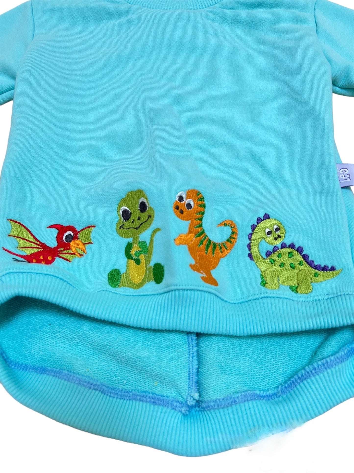 Matching Set Unisex Baby Long Sleeve SweatshirtTurquoise Dino Embroidery