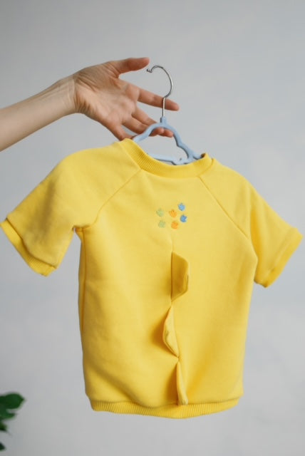 Short sleeve T-shirt outfit, Dinosaur embroidery style, baby boy T-shirt