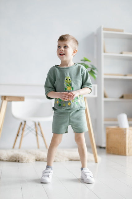 Short sleeve T-shirt outfit, Dinosaur embroidery style, baby boy T-shirt