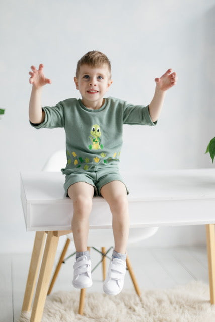 Short sleeve T-shirt outfit, Dinosaur embroidery style, baby boy T-shirt