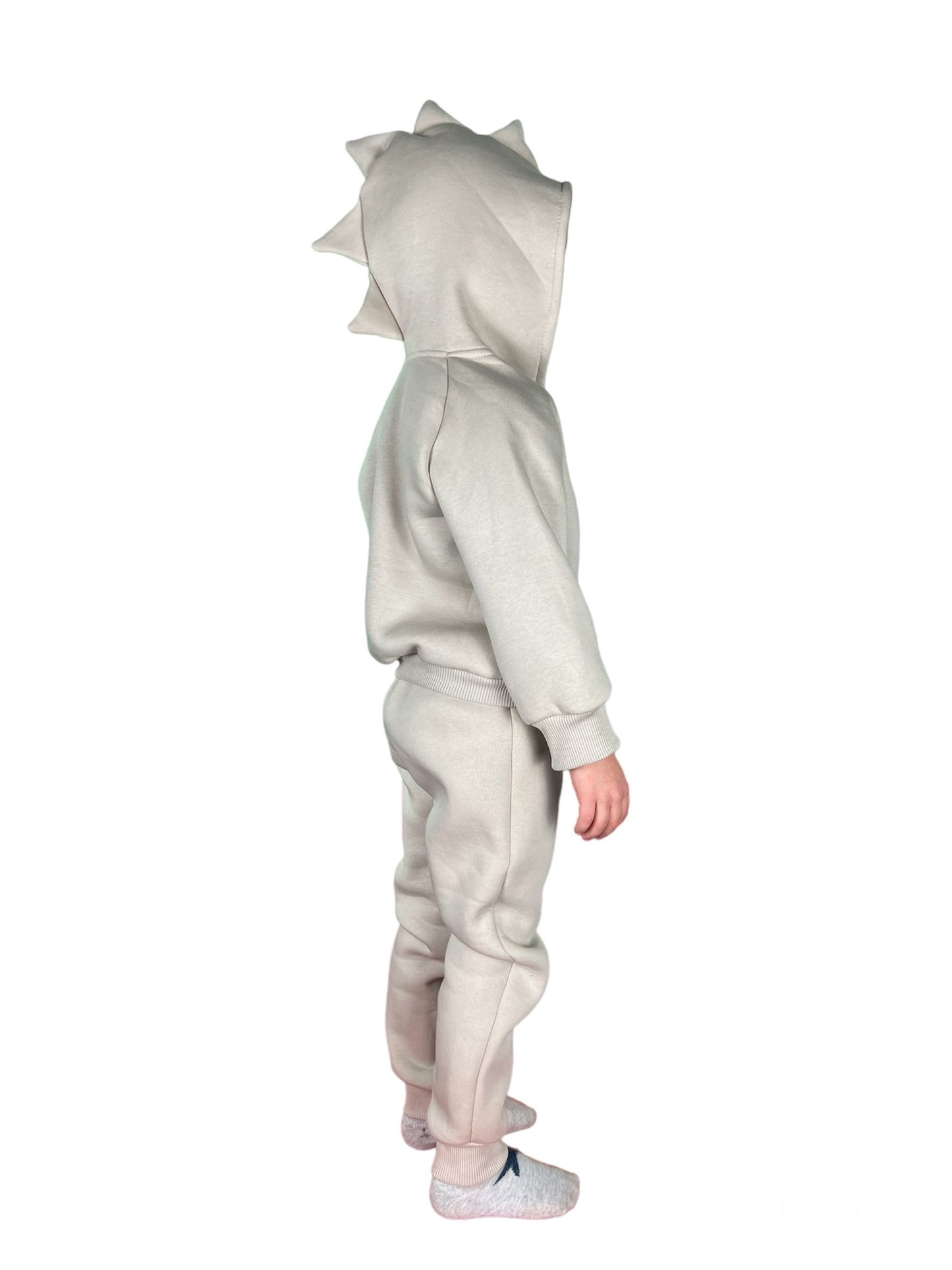 Toddler long sleeve hoodie with pants, dinosaur style outfit