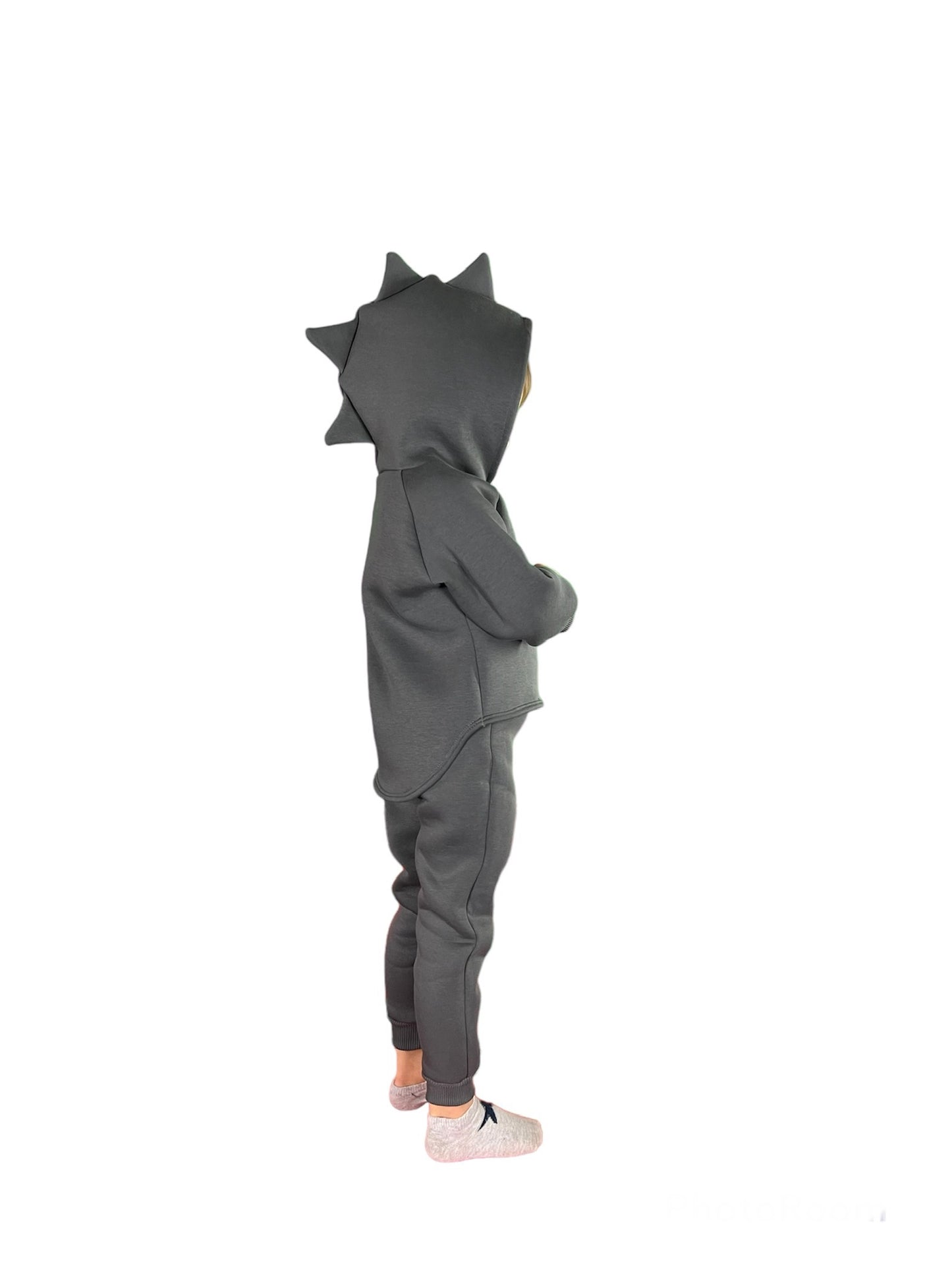 Toddler long sleeve hoodie with pants, dinosaur style outfit