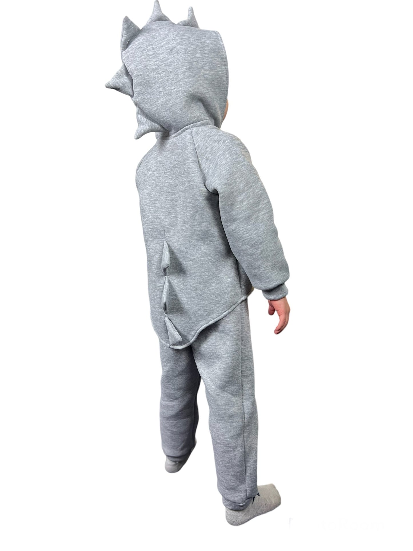 Baby long sleeve hoodie with pants, dinosaur style outfit