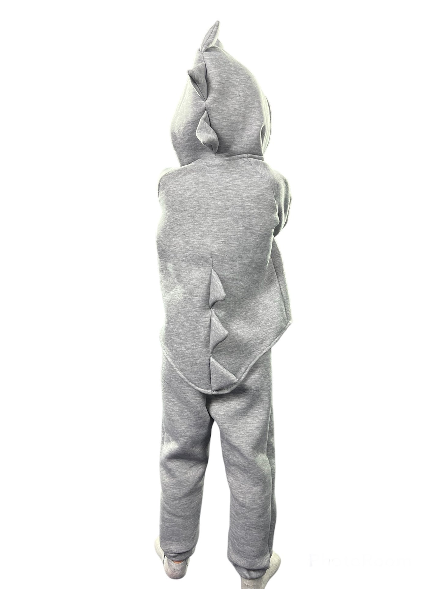 Baby long sleeve hoodie with pants, dinosaur style outfit